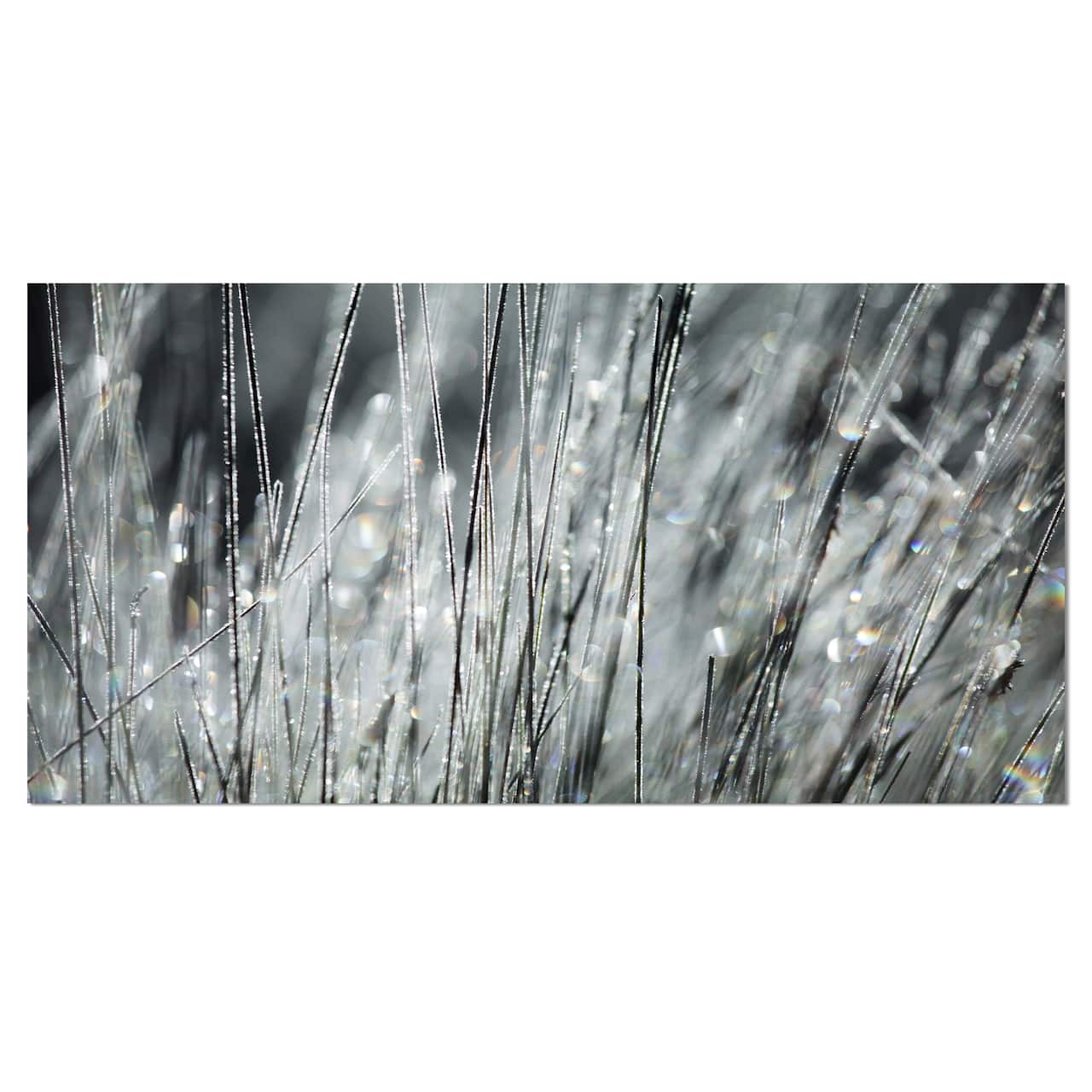 Designart - Raindrops on Grass Black White - Oversized Landscape Canvas Art